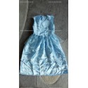 (déguisement) Robe Princesse  Bleue